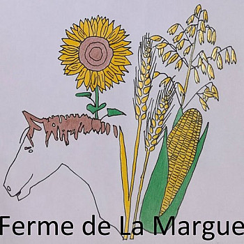 Circuits Courts des Producteurs Locaux : La ferme de la Margue en Ariège #Localinfo.fr #Tvlocale.fr
